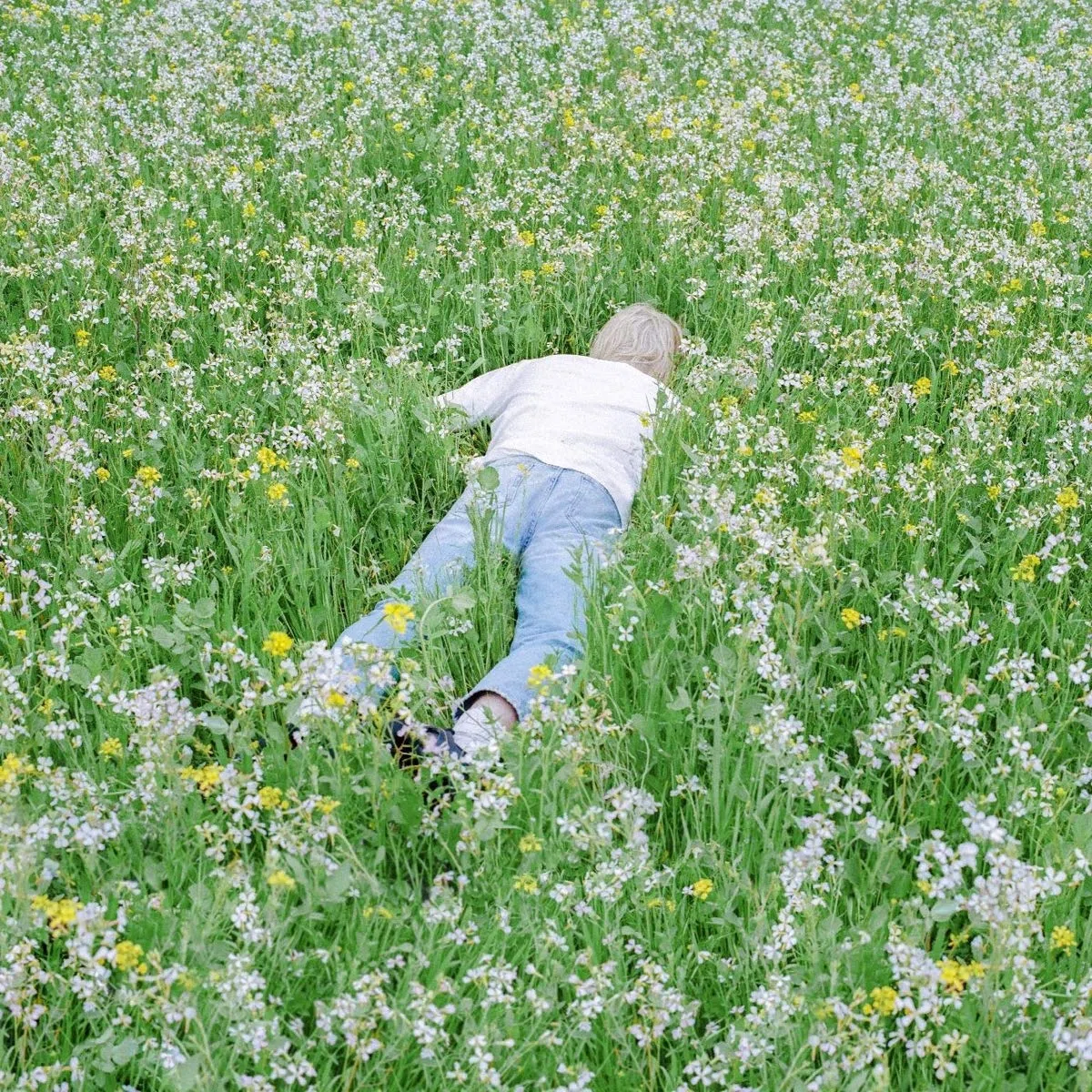 Nurture Transparent