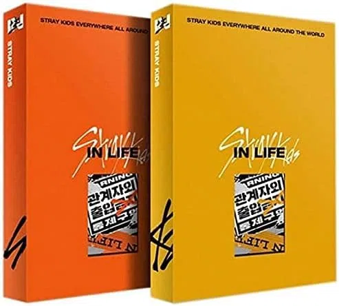 STRAY KIDS IN LIFE Album Standard Version Repackage A Type R Photobook Photocards Postcard Extra Photocards Double-Sided Photocard Pocket Mirror