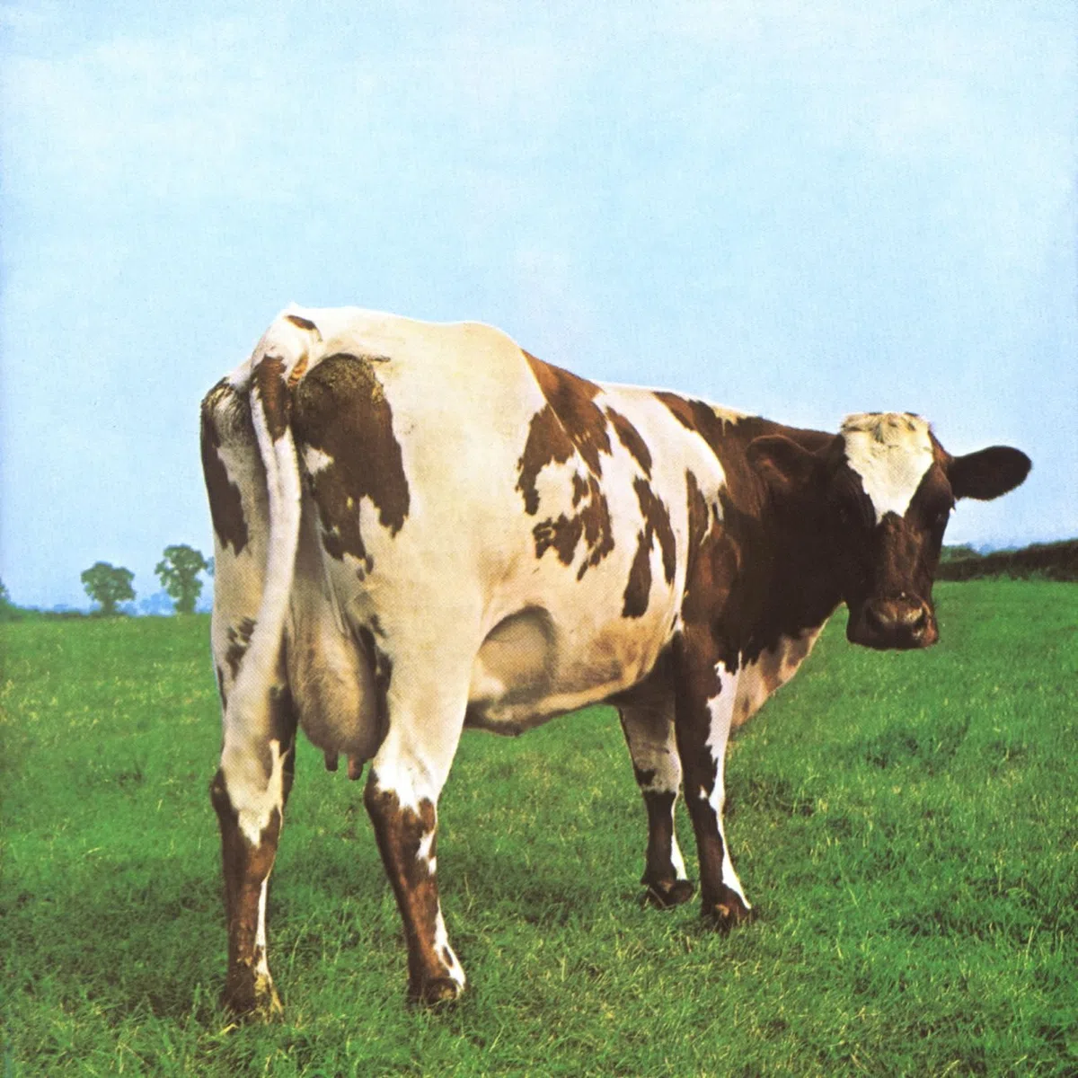 Atom Heart Mother 2011